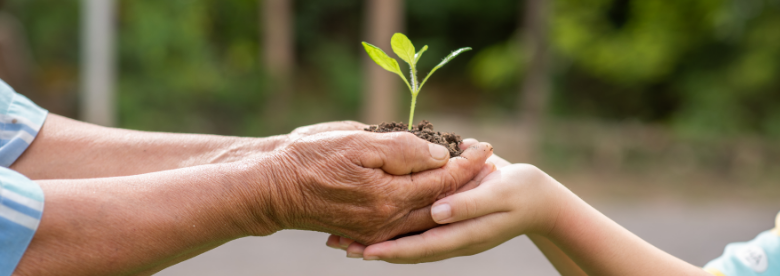 duas pessoas dão as mãos com uma muda de planta